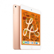 Apple 苹果 新iPad mini5 7.9英寸平板电脑（64GB WLAN版 MUQY2CH/A 金色） 2828元包邮