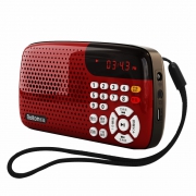 Rolton 乐廷 W105 插卡收音机 +凑单品 过期15.2元包邮（需用券）