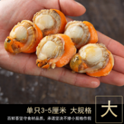 4斤、黄多！单只3-5cm超大扇贝肉！1000gx2件 百鲜荟 扇贝肉
