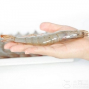 聚天鲜 厄瓜多尔白虾 14-15cm XXL号 2kg*2袋