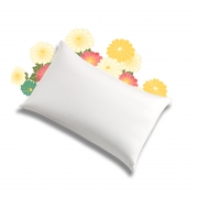 ￥229 Interlagos 日本抗菌防螨羽绒枕芯
