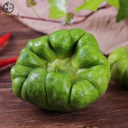 云南特产，可米庄园 姜柄瓜5斤