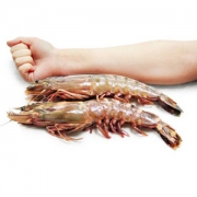 mr seafood 京鲜生 冷冻大虎虾 1kg（14-16个）*2件 234.6元包邮