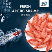 豪鲜品 加拿大北极甜虾500g*2件