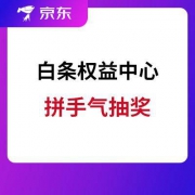 京东 白条权益中心
