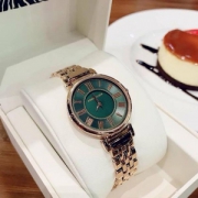 Anne Klein 安妮·克莱因 AK/2158GNRG 女士墨绿石英表 Prime会员免费直邮含税
