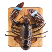 26日8点：wecook 味库 波士顿龙虾 450-550g*2只+花蛤 500g 172元包邮（需用券）