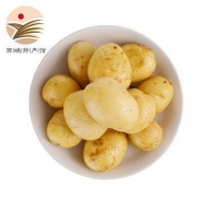 移动专享： 振豫 黄心小土豆 4.5kg
