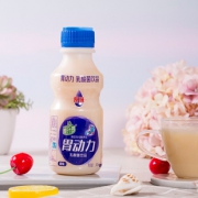 椰汁岛 胃动力饮品340mlx12瓶 券后￥26.9