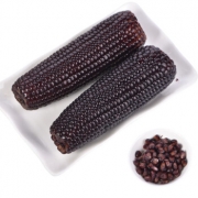 新鲜黑糯玉米 10支装 约180g/支 29.8元包邮（需用券）
