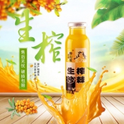 野山坡 沙棘汁饮料300ml*8瓶 38元包邮