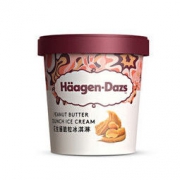 哈根达斯 花生酱脆粒口味 冰淇淋 473ml *2件+凑单品 111元包邮（合55.5元/件）