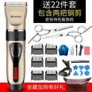 志高（CHIGO） ZG-F838 电动理发器  券后39.9元