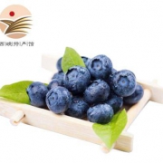 振豫 新鲜蓝莓 125g *4件