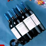 南非原瓶进口，Babylonstoren 天阶 Pinotage 皮诺塔吉 干红葡萄酒750ml*6瓶装