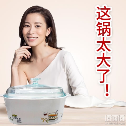 康宁烧花白锅