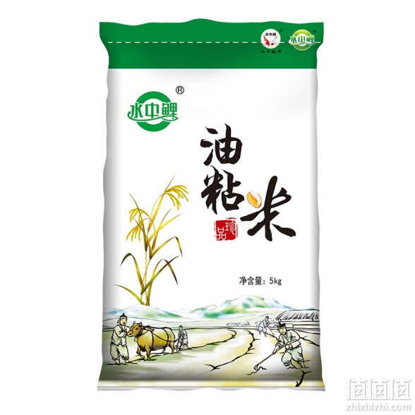 水中鲤油粘米