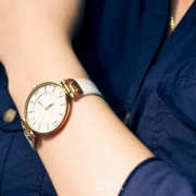 Anne Klein 安妮克莱恩 109168WTWT 女士时尚腕表