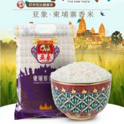 亚象 柬埔寨香米10斤