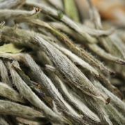 白茶销量第一！明前特级新茶，馥益堂 福鼎白茶  白毫银针 30克