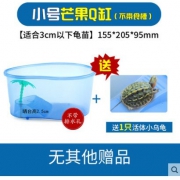 大家洼 龟箱 小号 送小乌龟 5.5元包邮（需用券）
