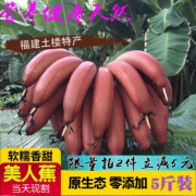 领券新低价！现割现发福建土楼特产：红美人香蕉 5斤包邮（4.6/斤） 领5元优惠券