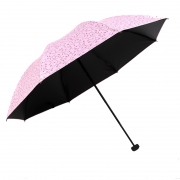 19日21点：Paradise 天堂伞 单面印花晴雨伞 14元包邮（前500件）