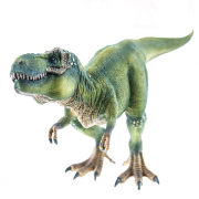 Schleich 思乐 SCHC14525 雷克斯暴龙 99元包邮