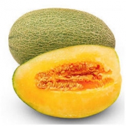 新疆玫珑西州蜜瓜 哈密瓜 带箱10斤