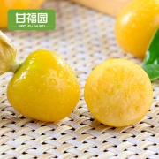 东北姑娘果3斤装 新鲜当季水果黄菇娘果灯笼果特产包邮 39.8元