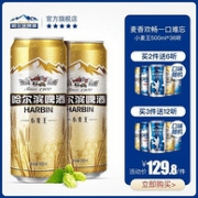 哈尔滨啤酒 小麦王 500mlx36听
