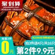 10点开始，洪泽湖 新鲜六月黄大闸蟹16只礼盒装（公母随机1.3~1.8两）