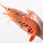 WECOOK味库 超大阿根廷红虾L1  2kg *2件 216元包邮（双重优惠）