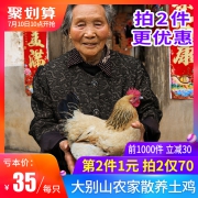 10点开始，喜乐田园 大别山散养老母鸡 1000g*2件