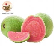 红心芭乐番石榴 5斤装 送酸梅粉+辣椒盐各一袋