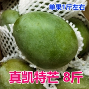 攀枝花凯特芒特大果青芒整箱装