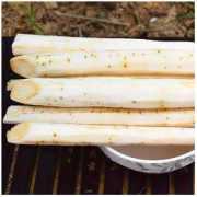 蒡蒡康 新鲜牛蒡根 5斤 16.9元包邮