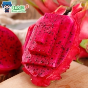 【5斤大果】金都一号红心火龙果