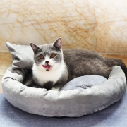 宠物猫窝 藤编凉席坐垫  券后1.8元包邮