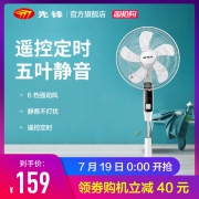 Singfun 先锋 FS40-14EREC 家用五叶遥控落地扇