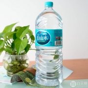 农心 白山水 长白山天然矿泉水2L*6瓶/箱*2件
