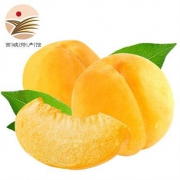 西峡馆 砀山黄桃 精选大果 5斤装单果200-300g