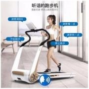 YPOO 易跑 Mini3 家用静音折叠跑步机 豪华版 1299元包邮（需用券）