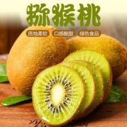 西御居 四川浦江绿心猕猴桃中大果 30粒 5斤