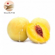 砀山馆 当季现摘 新鲜黄桃 5斤装
