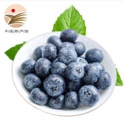 美味美 新鲜国产蓝莓 125g*4盒 *2件