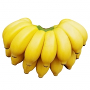 ￥19.9 源鲜汇 广西小米蕉 带箱10斤