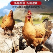 亲情沂蒙人 农家散养正宗土鸡 1000g*2只