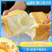 ￥21.8 手撕包奶香吐司430克