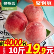 ￥19.9 新鲜水蜜桃 带箱10斤